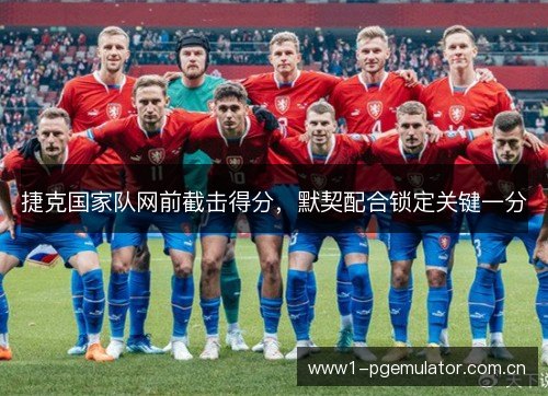 捷克国家队网前截击得分，默契配合锁定关键一分